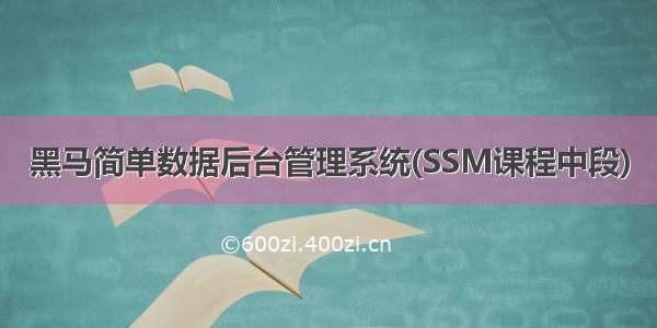 黑马简单数据后台管理系统(SSM课程中段)