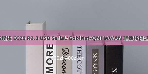 4G模块 EC20 R2.0 USB Serial/GobiNet/QMI WWAN 驱动移植过程