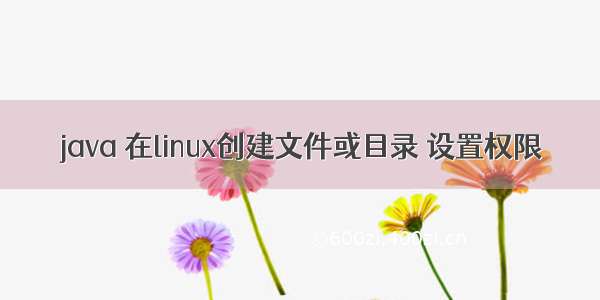 java 在linux创建文件或目录 设置权限