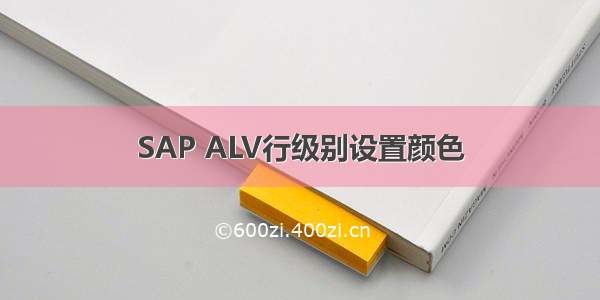 SAP ALV行级别设置颜色