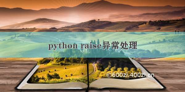 python raise异常处理