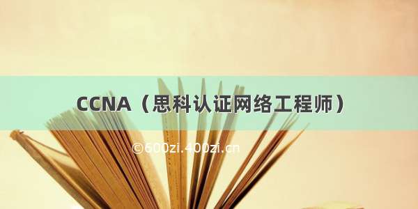 CCNA（思科认证网络工程师）