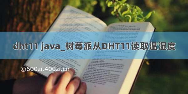 dht11 java_树莓派从DHT11读取温湿度