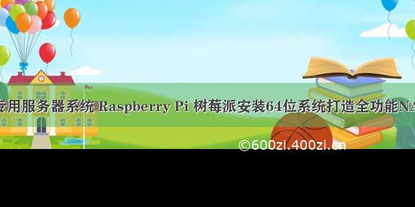 树莓派装专用服务器系统 Raspberry Pi 树莓派安装64位系统打造全功能NAS [全网最