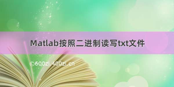 Matlab按照二进制读写txt文件