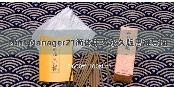 MindManager21简体中文永久版思维导图