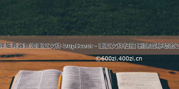 文件服务器查询重复文件 DupScout – 重复文件扫描 删除或移动的工具