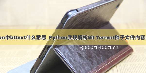 python中bttext什么意思_Python实现解析Bit Torrent种子文件内容的方法