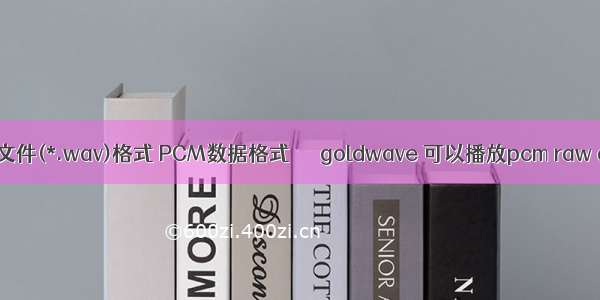 wave文件(*.wav)格式 PCM数据格式      goldwave 可以播放pcm raw audio