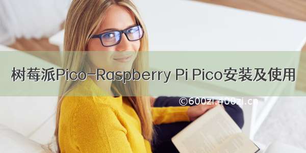 树莓派Pico-Raspberry Pi Pico安装及使用