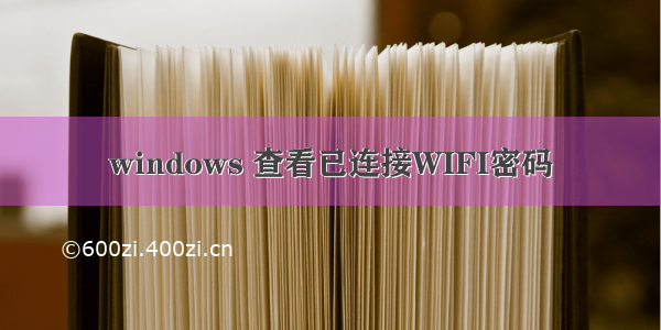 windows 查看已连接WIFI密码