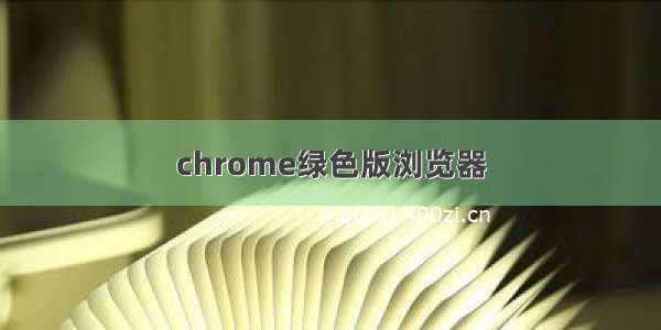 chrome绿色版浏览器