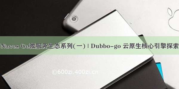 Nacos Go微服务生态系列(一) | Dubbo-go 云原生核心引擎探索