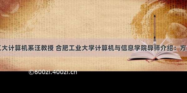 合工大计算机系汪教授 合肥工业大学计算机与信息学院导师介绍：方宝富