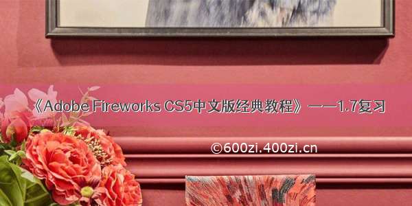 《Adobe Fireworks CS5中文版经典教程》——1.7复习