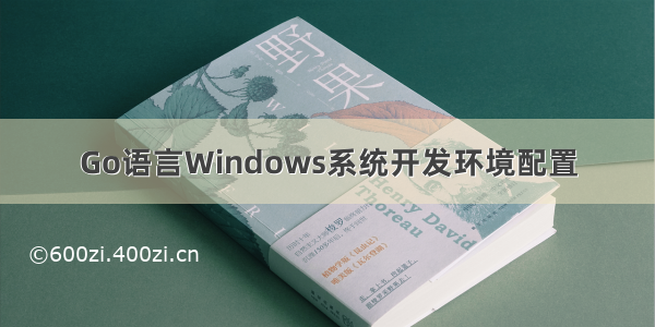 Go语言Windows系统开发环境配置