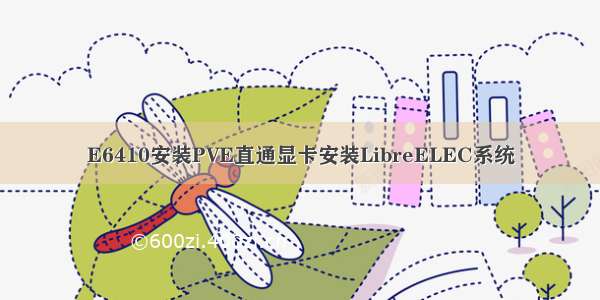 E6410安装PVE直通显卡安装LibreELEC系统