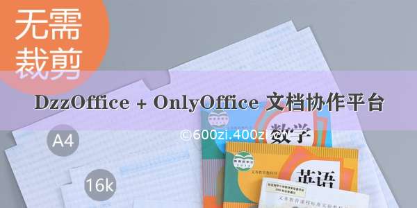 DzzOffice + OnlyOffice 文档协作平台