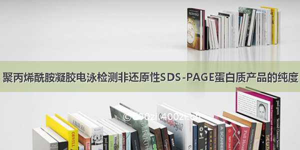 聚丙烯酰胺凝胶电泳检测非还原性SDS-PAGE蛋白质产品的纯度