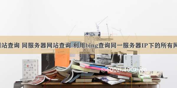 同ip网站查询 同服务器网站查询 利用bing查询同一服务器IP下的所有网站 -