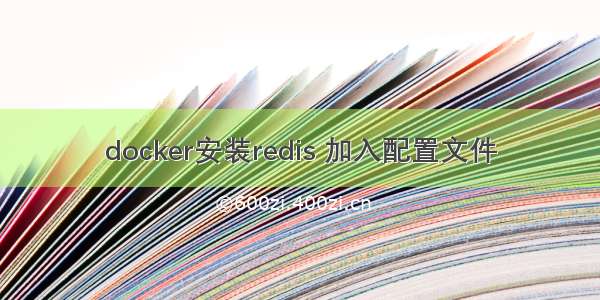 docker安装redis 加入配置文件