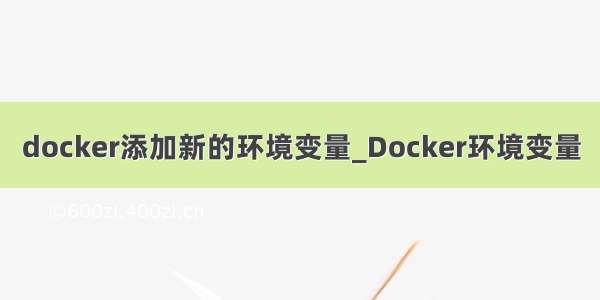 docker添加新的环境变量_Docker环境变量