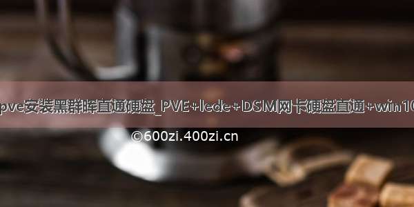pve安装黑群晖直通硬盘_PVE+lede+DSM网卡硬盘直通+win10