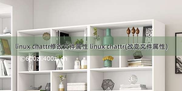 linux chattr修改文件属性 linux chattr(改变文件属性)