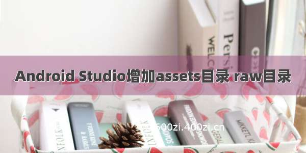 Android Studio增加assets目录 raw目录