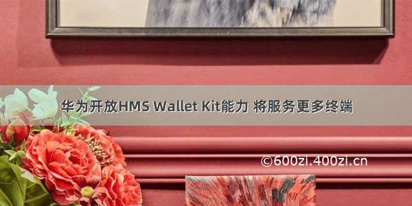 华为开放HMS Wallet Kit能力 将服务更多终端