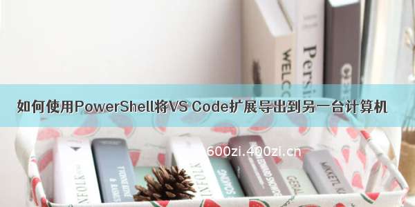 如何使用PowerShell将VS Code扩展导出到另一台计算机