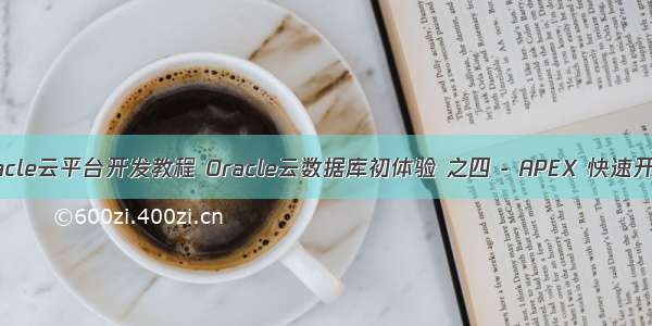 oracle云平台开发教程 Oracle云数据库初体验 之四 - APEX 快速开发