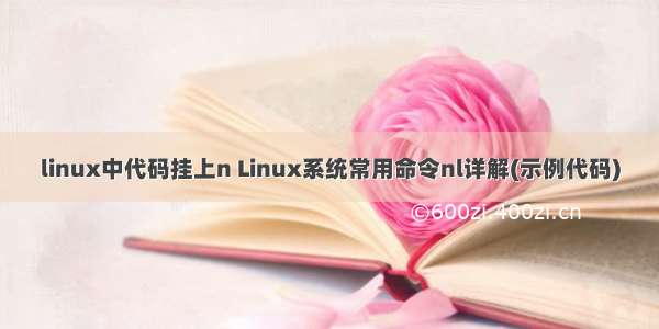 linux中代码挂上n Linux系统常用命令nl详解(示例代码)