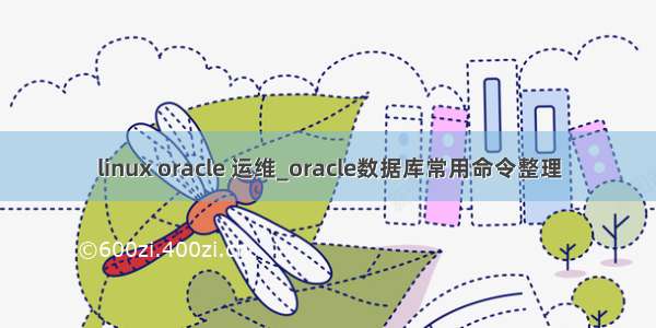 linux oracle 运维_oracle数据库常用命令整理