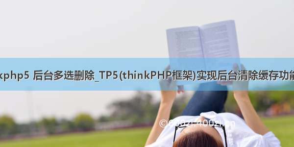 thinkphp5 后台多选删除_TP5(thinkPHP框架)实现后台清除缓存功能示例