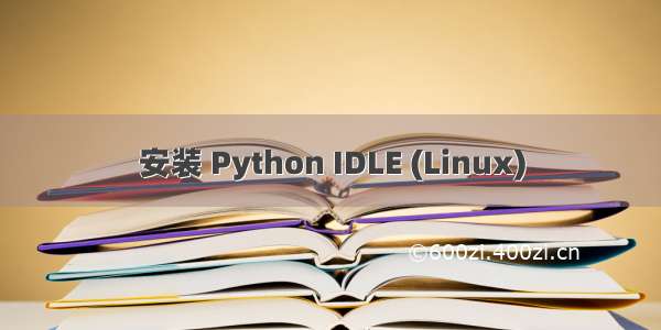 安装 Python IDLE (Linux)