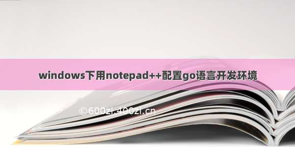 windows下用notepad++配置go语言开发环境