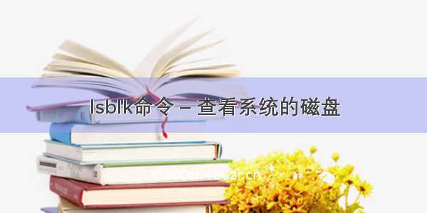 lsblk命令 – 查看系统的磁盘