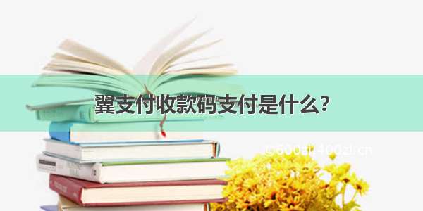 翼支付收款码支付是什么？