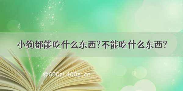 小狗都能吃什么东西?不能吃什么东西?