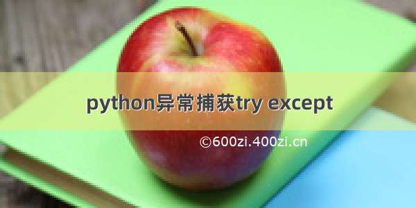 python异常捕获try except