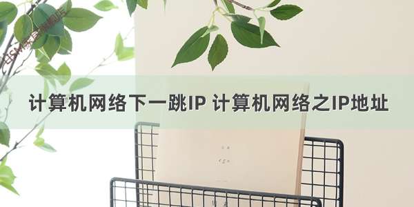 计算机网络下一跳IP 计算机网络之IP地址