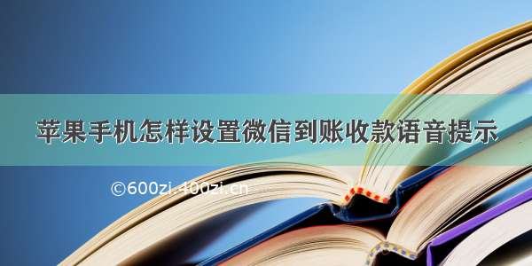 苹果手机怎样设置微信到账收款语音提示