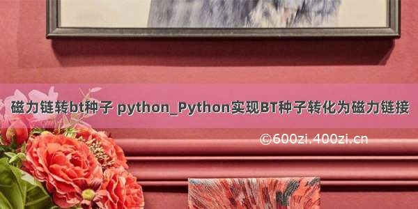 磁力链转bt种子 python_Python实现BT种子转化为磁力链接