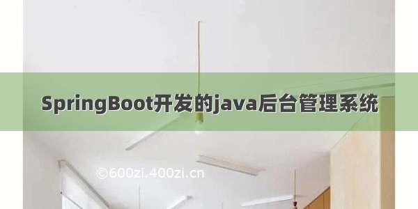 SpringBoot开发的java后台管理系统