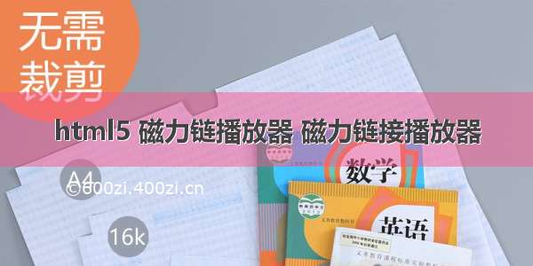 html5 磁力链播放器 磁力链接播放器