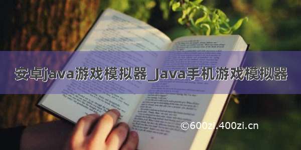 安卓java游戏模拟器_Java手机游戏模拟器