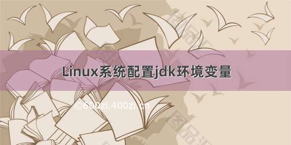 Linux系统配置jdk环境变量