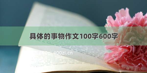 具体的事物作文100字600字