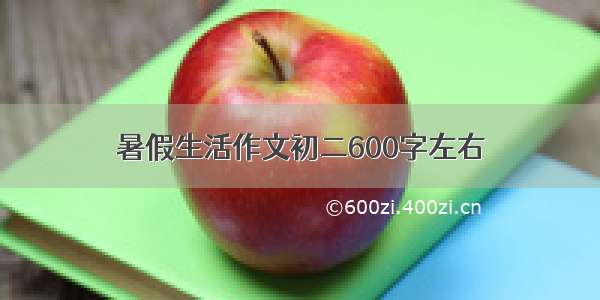 暑假生活作文初二600字左右